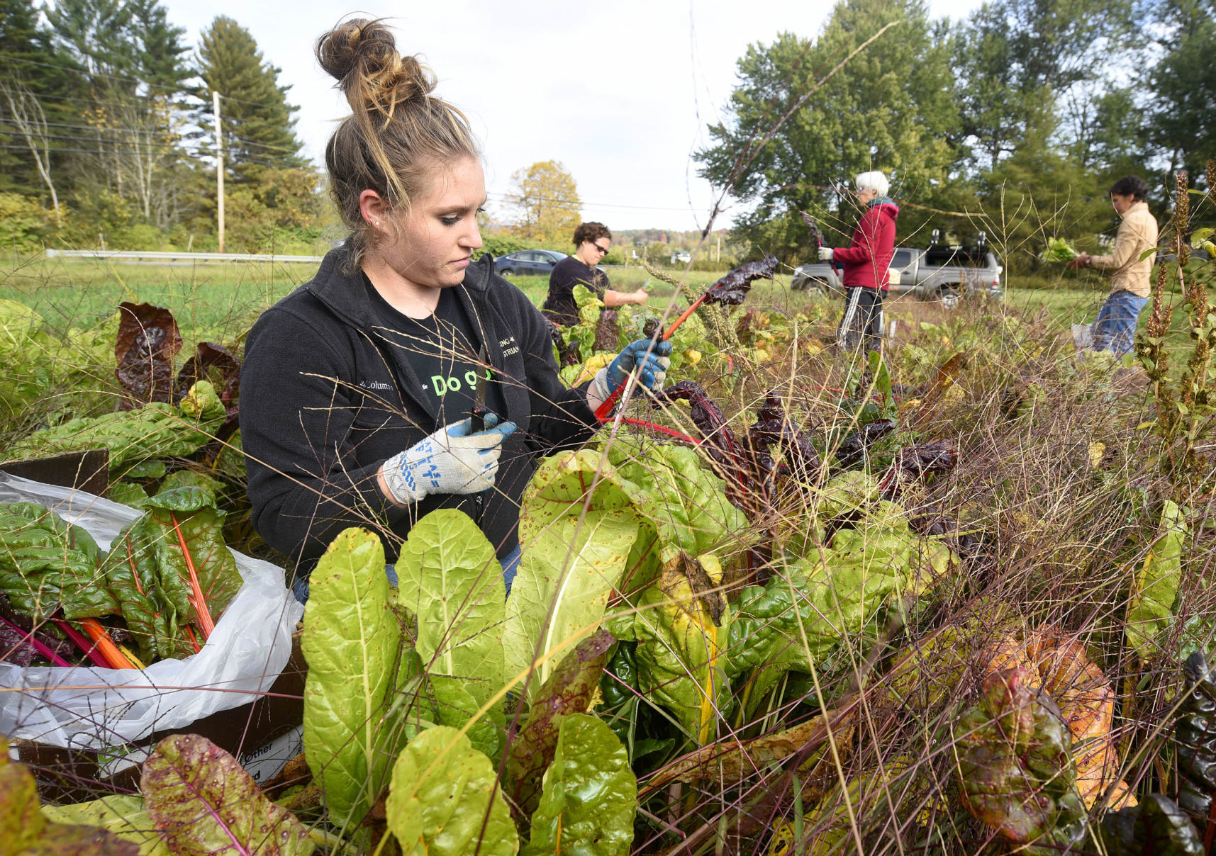 Gleaning up